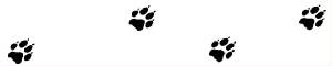wolfpaws.jpg